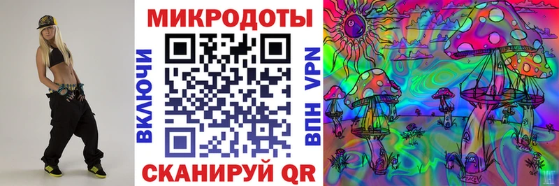 где продают   дарк нет состав  Галлюциногенные грибы Cubensis  Гусев 